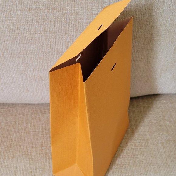 Authentic Louis Vuitton Fragrance Shopping Bag - Picture 3 of 6